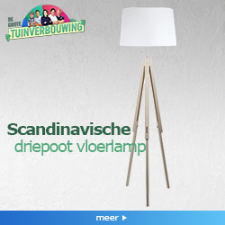 Productafbeelding
