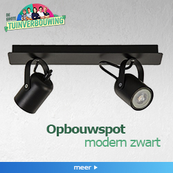 Productafbeelding
