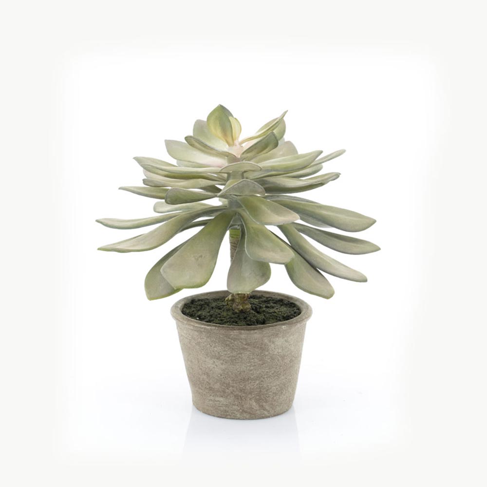 Kunstplant Succulent Echeveria