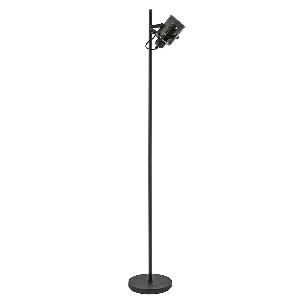 Mat zwarte vloerlamp met smoke/titanium glas