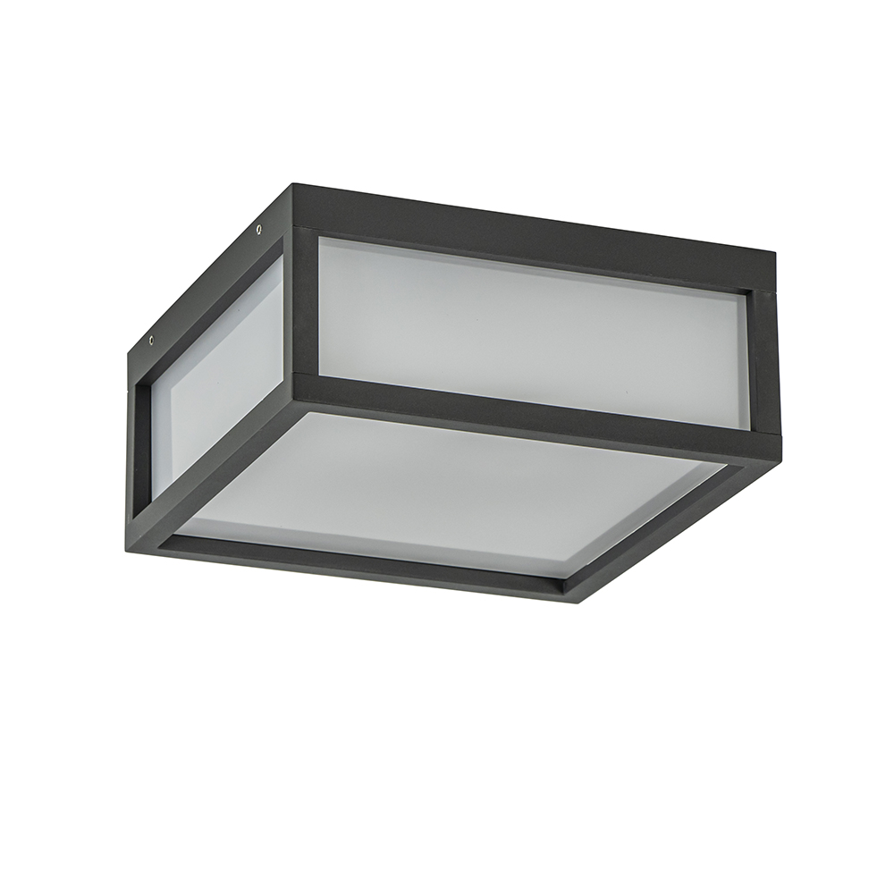 Vierkante buitenlamp dark grey plafond/wand
