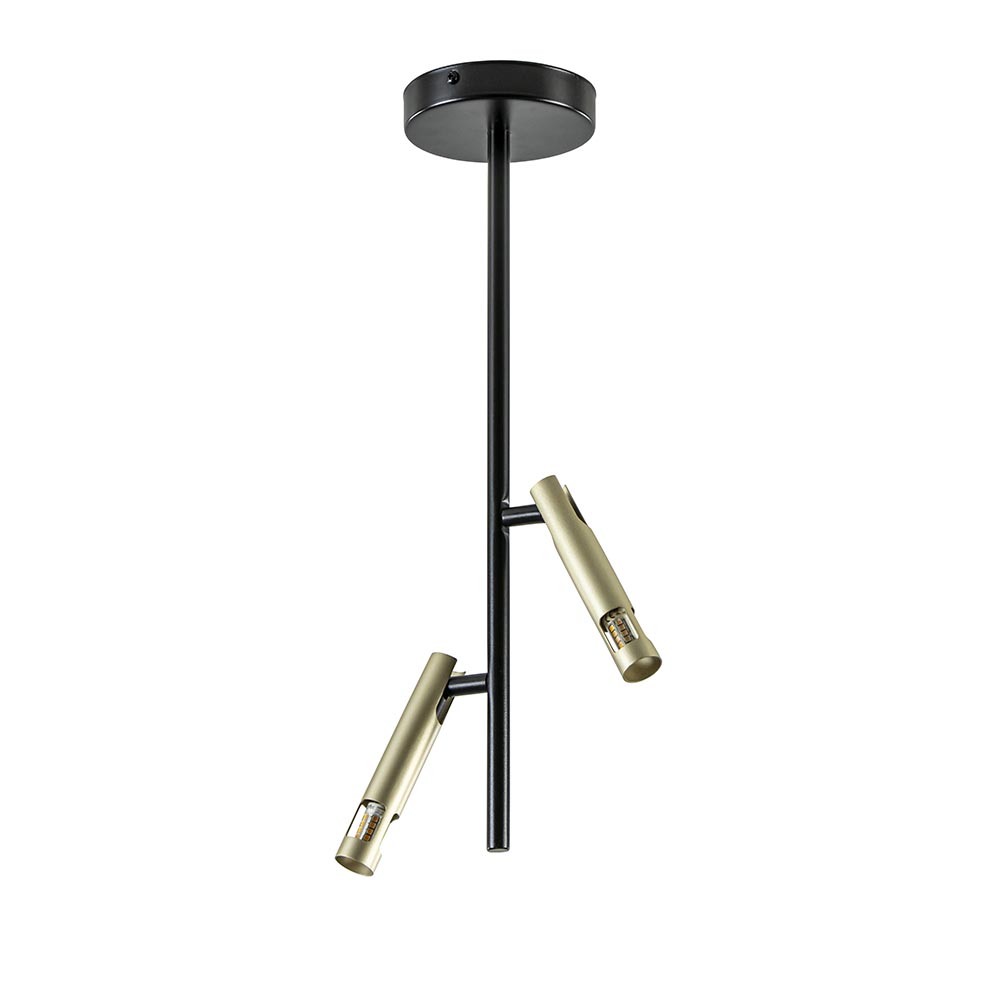 Landelijke plafondlamp zwart met goud G9