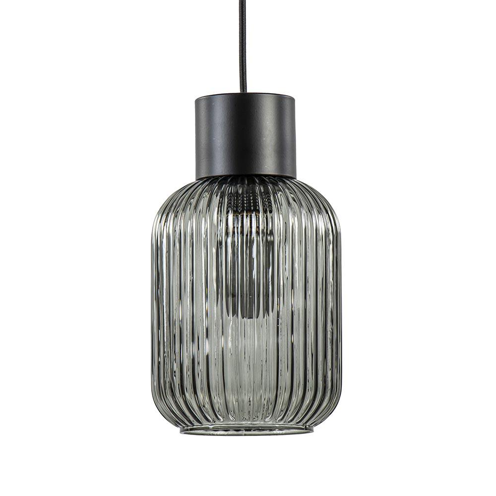 milieu aantal seks 1-Lichts hanglamp zwart met smoke glazen cilinder | Straluma
