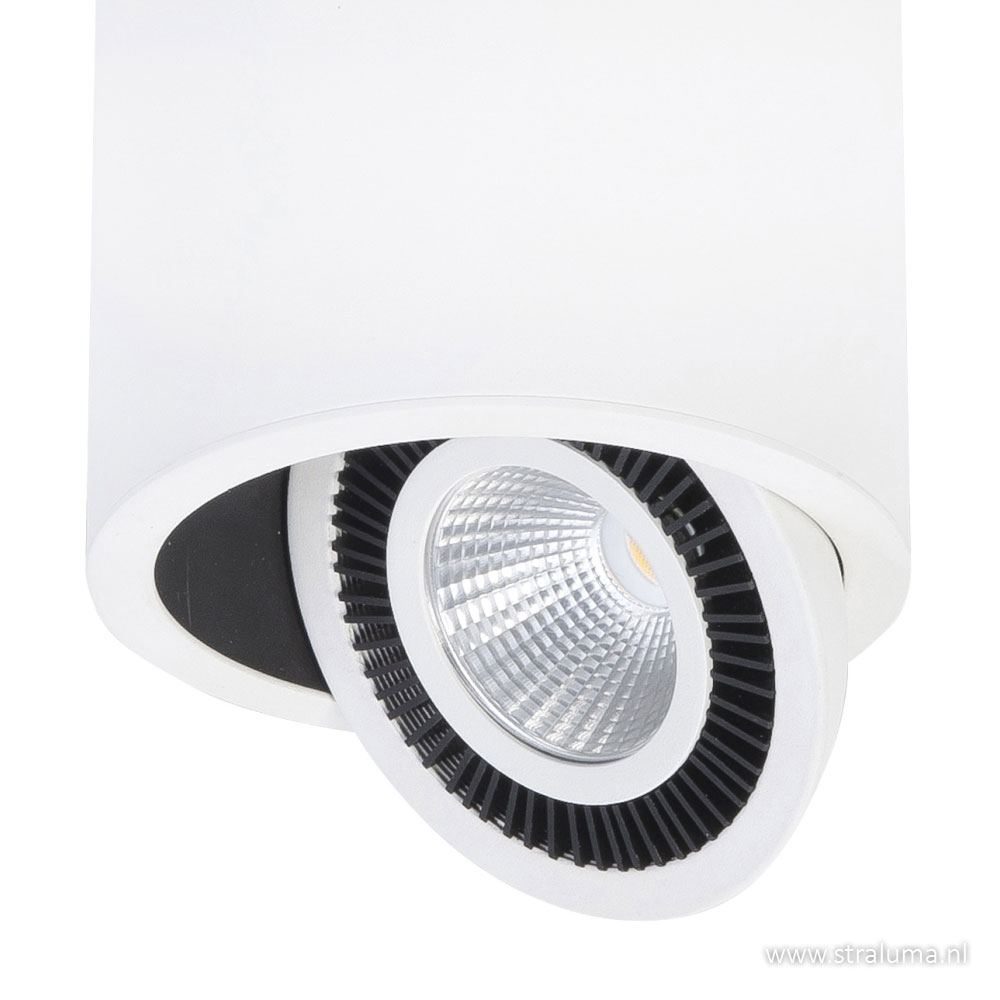 Verkleuren Onenigheid Ontembare Design Spot Eye wit LED verstelbaar | Straluma