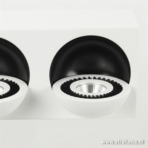 Plafondspot box 2-lichts led wit/zwart 3000k