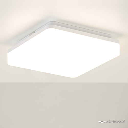 Michelangelo Eenheid toewijding Plafond/wandlamp square wit led IP44 | Straluma