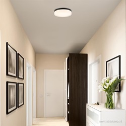 Badkamer plafondlamp zwart met opaal glas