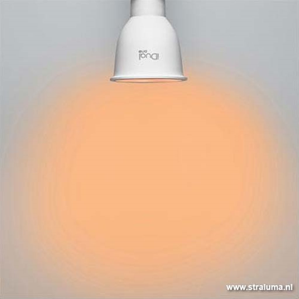 Set IDual One GU10 LED spots