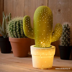 Tafellamp cactus groen wit