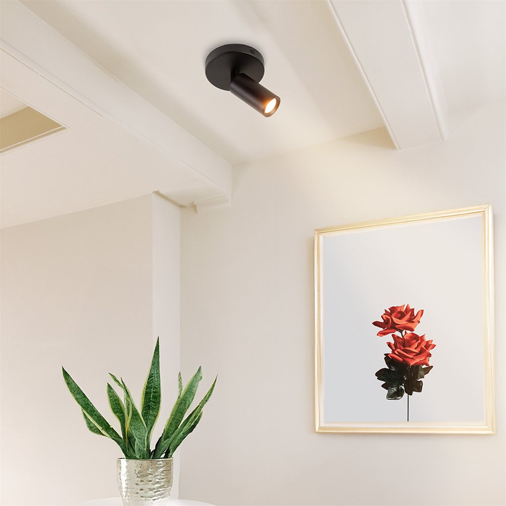 Plafondspot zwart