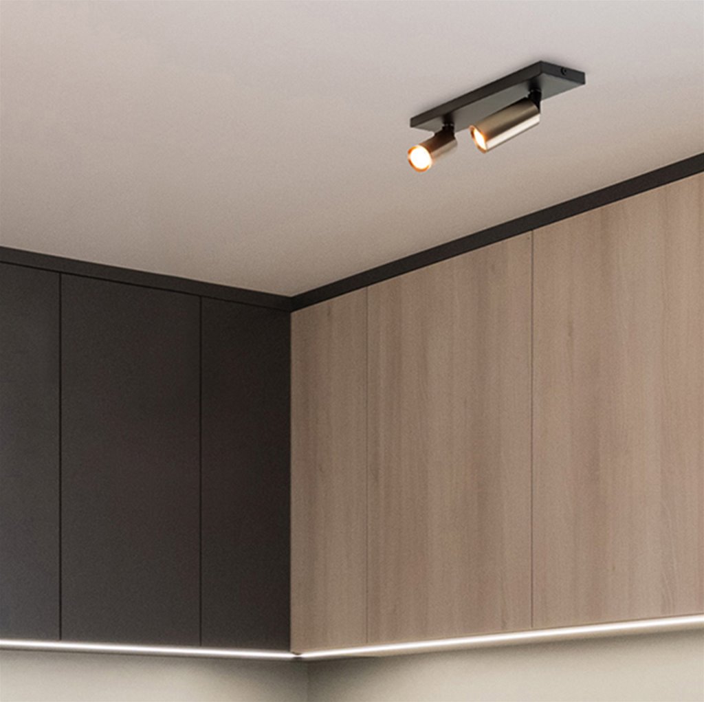 Plafondspot 2-Lichts zwart-titanium