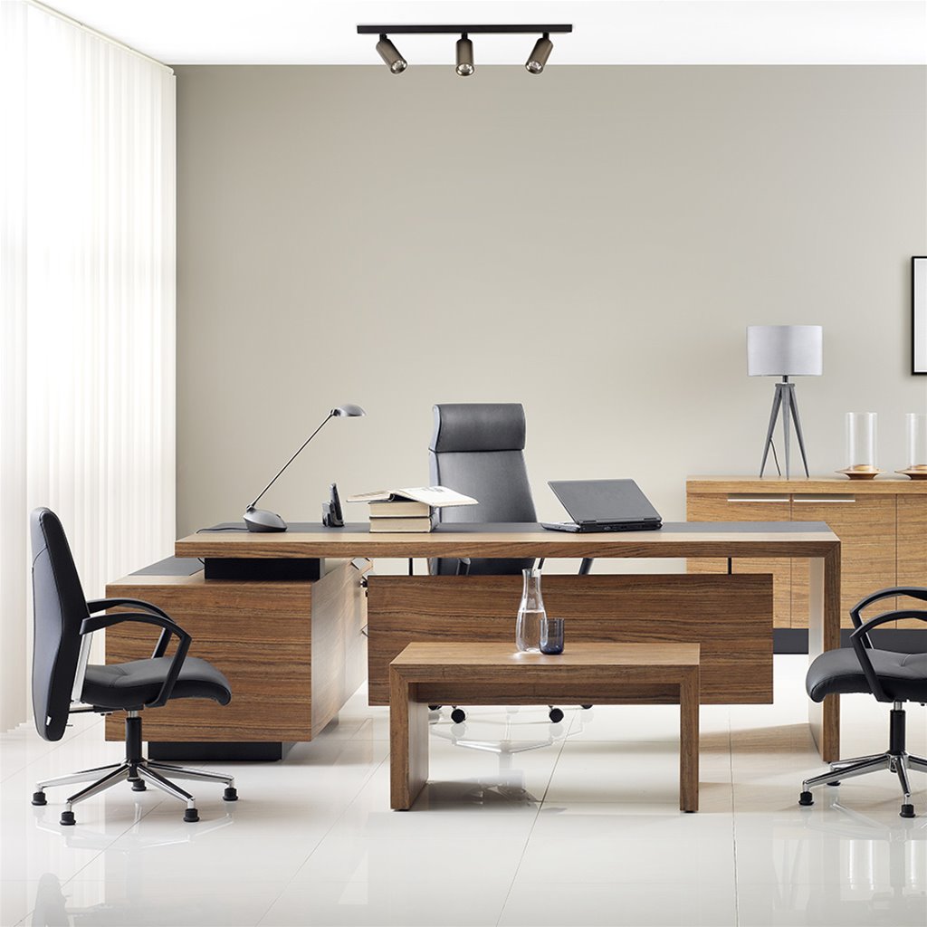 Plafondspot 3 lichts zwart titanium