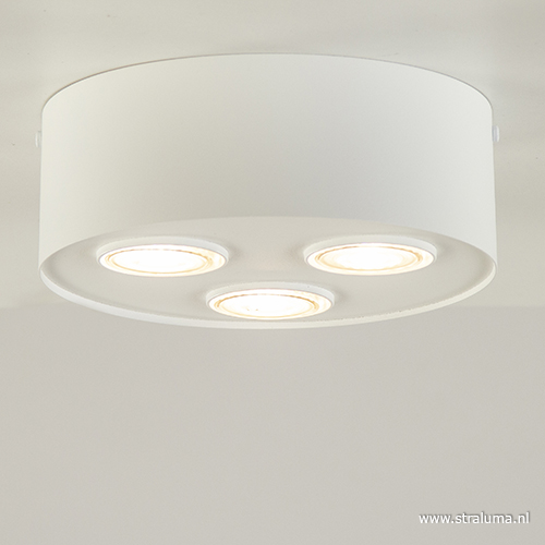 Marty Fielding Bijwonen BES Metalen 3-lichts plafondlamp/spot wit | Straluma