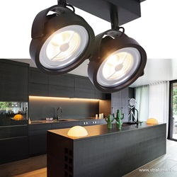 Industriële plafondspot zwart 2-lichts LED