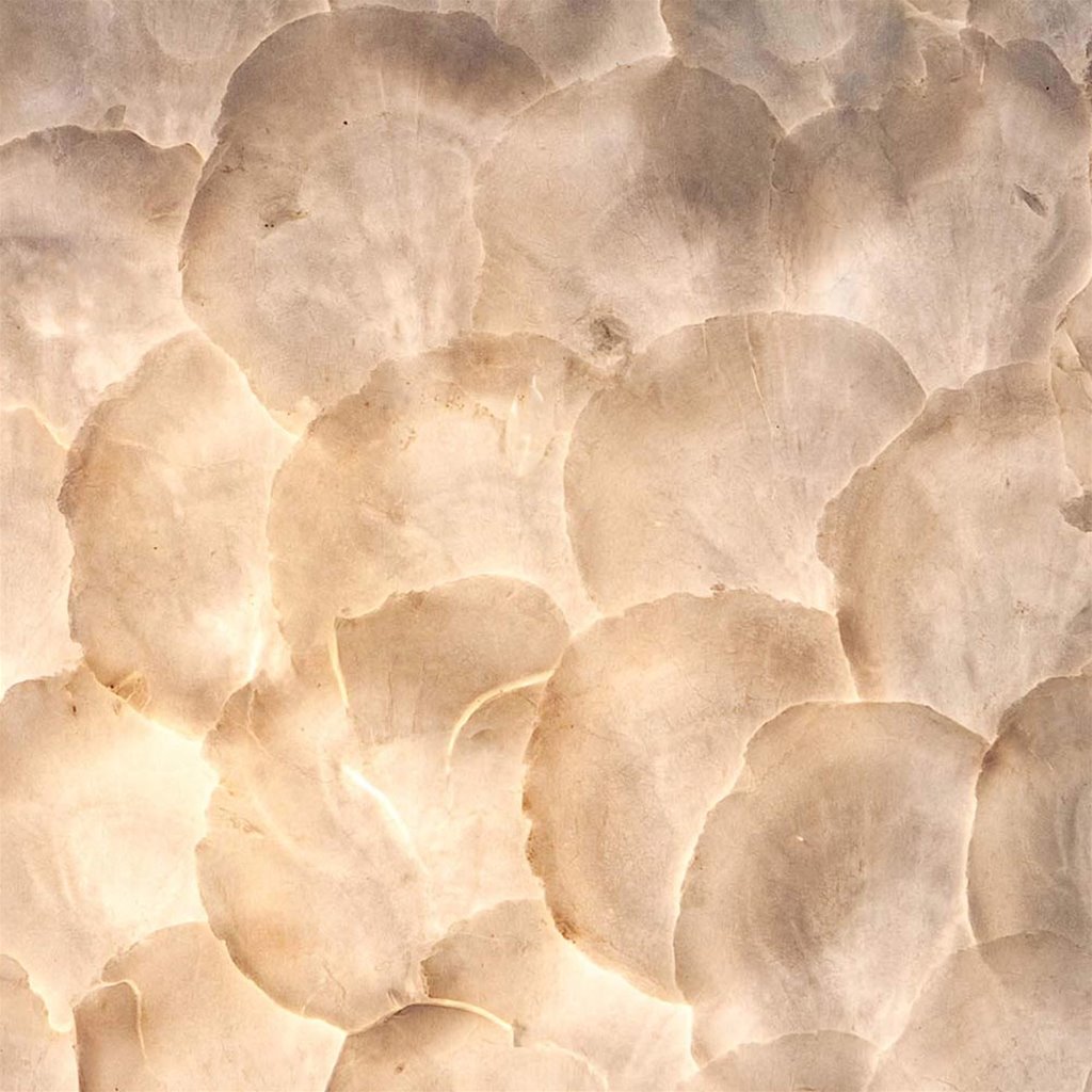 chrysant vergelijking onkruid Romantische tafellamp schelp dressoir | Straluma